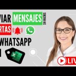 Configuración de alertas y notificaciones para contenido caduco: guía práctica