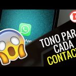 Personalización de notificaciones según usuarios: ¿cómo hacerlo?