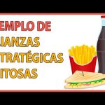 Integración de módulo de gestión de alianzas y colaboradores en el sitio: Guía práctica