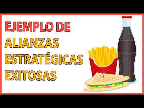 Integración de módulo de gestión de alianzas y colaboradores en el sitio: Guía práctica