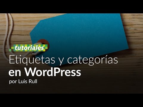 Personalización del sistema de tags y categorías con meta-información: Guía práctica