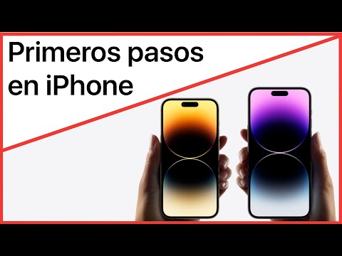 Añade un widget de resumen diario de actividades del sitio: Guía paso a paso