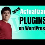 Actualización automática de plugins: ¿cómo se hace?