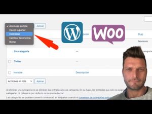Personalización de categorías y etiquetas: guía rápida