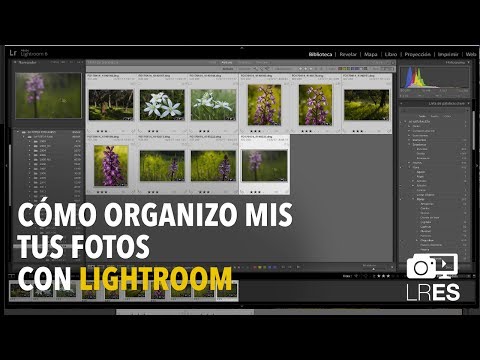 Integración de módulo de galería con venta de fotografías: tutorial completo