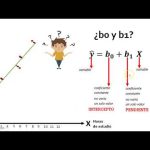 Integración de módulo de estadísticas avanzadas para autores del blog: Guía paso a paso