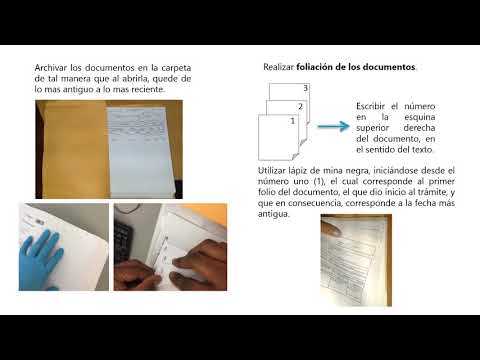 Añade un sistema de gestión de afiliaciones con reportes detallados: Guía paso a paso