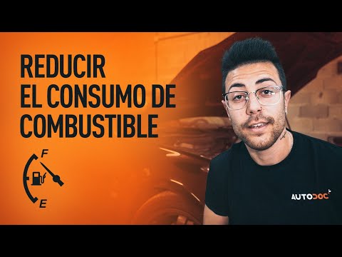 Mantenimiento web para tu coche: ¡Optimiza su rendimiento!