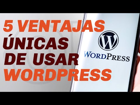 5 razones para elegir nuestro servicio de mantenimiento de sitios web