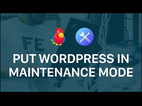 Maintenance of Web Wn in English: A Complete Guide