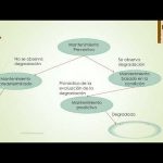 Sentencia contrato desarrollo web: claves para el mantenimiento de una página